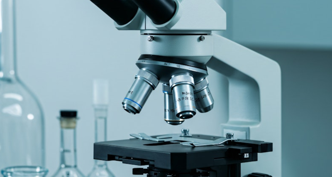 Ten artykuł wyjaśnia, dlaczego inwestycja w kurs biologii w 2026 roku ma sens i jak wybrać ofertę najlepiej dopasowaną do twoich celów — od przygotowania do mat...